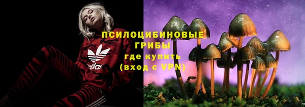 spice Гусь-Хрустальный