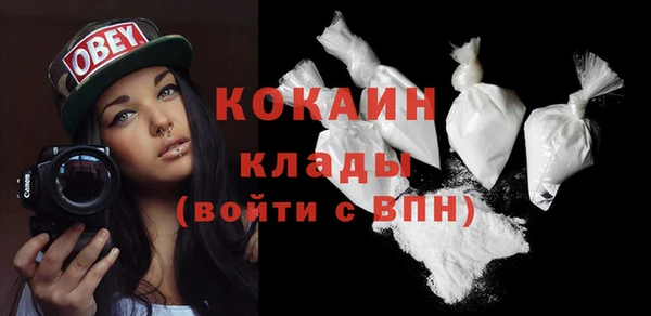 тгк Гусев