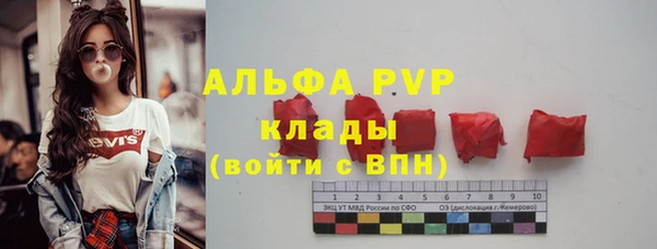 СК Вязьма