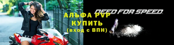 стаф Вяземский