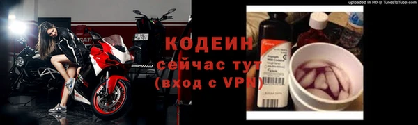 тгк Гусев