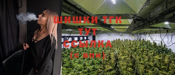 тгк Гусев