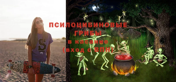 a pvp Гусиноозёрск