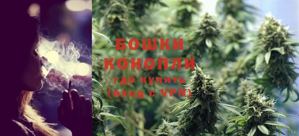 тгк Гусев