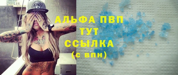 тгк Гусев